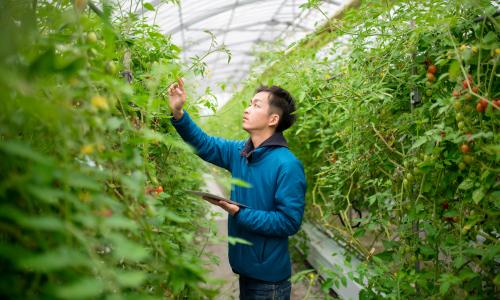 Food Supply Chain