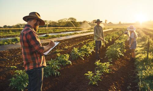 Industry labour agreement